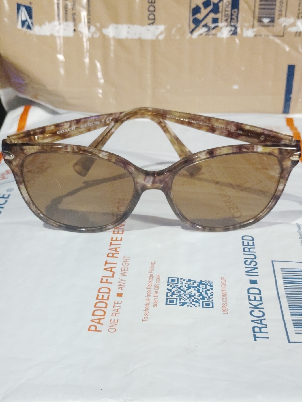 Coach Transparent Brown Tortoiseshell Sunglasses